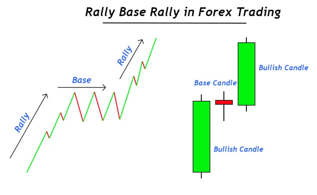 rally base rally trading